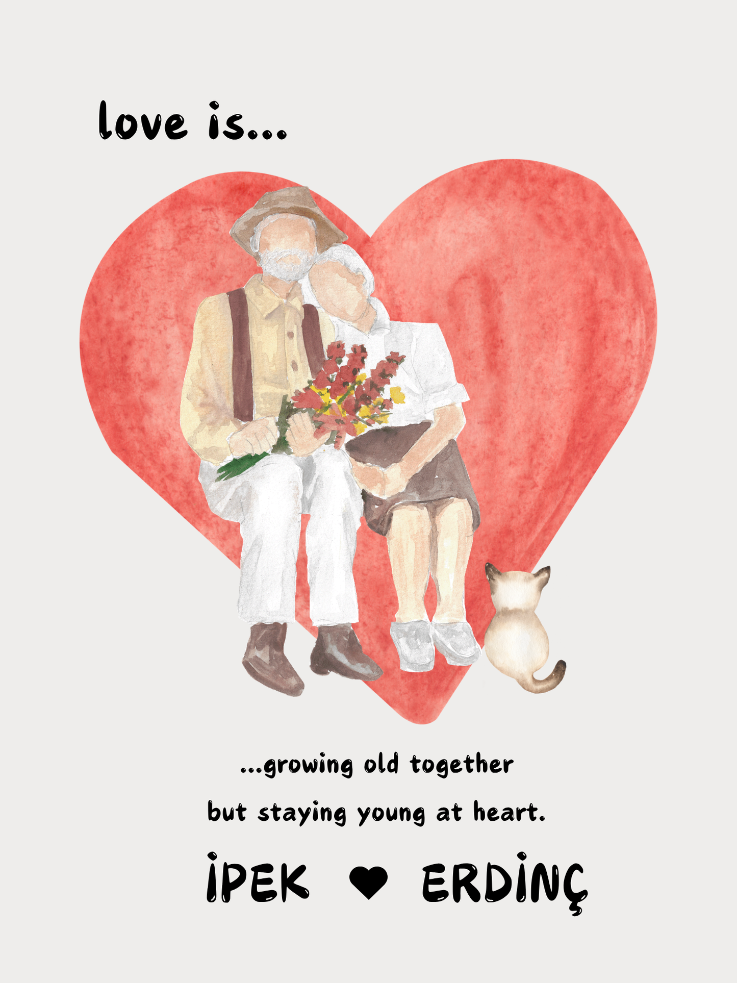vitrin-duvar