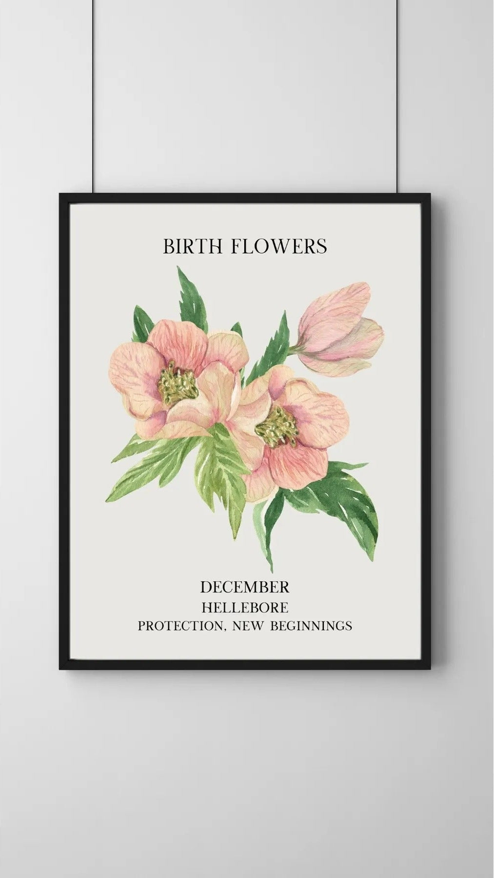 SÜMER Art Decoration Aralık ayı doğum çiçeği Hellebore (Noel Gülü) temalı sanatsal suluboya posteri ana görseli