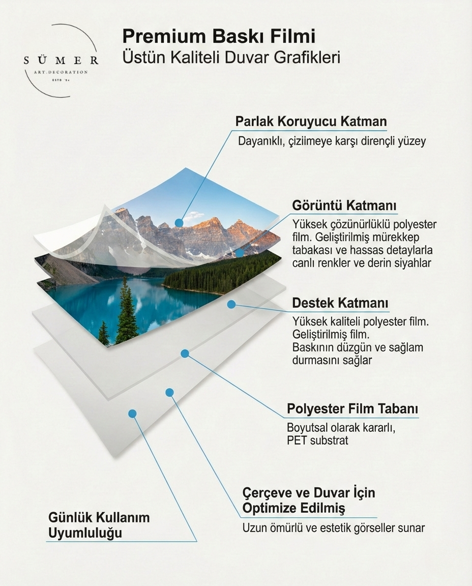 Koruyucu katman, görüntü katmanı, destek katmanı ve polyester film tabanını ayrı ayrı gösteren baskı katmanları şeması.