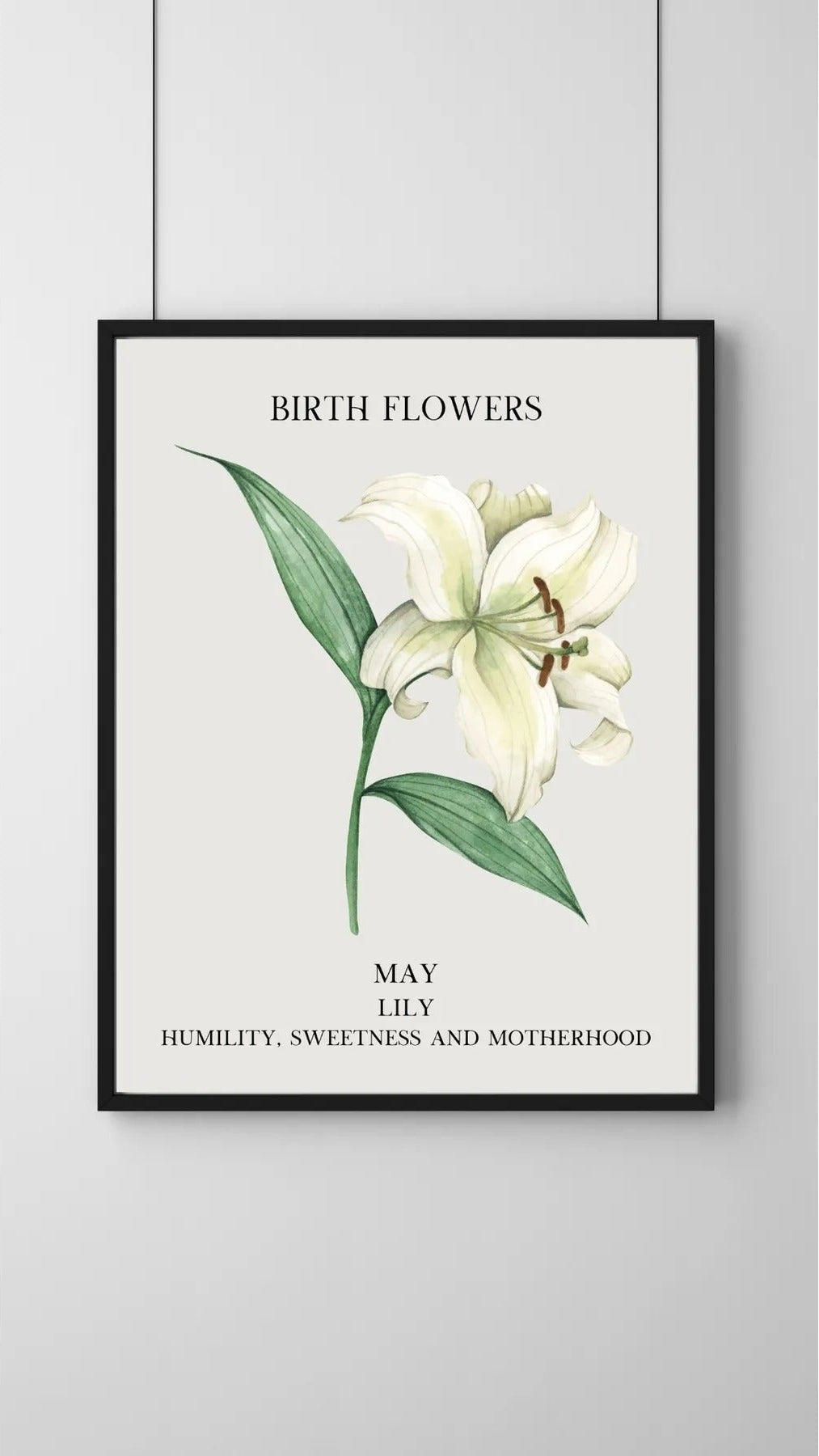 SÜMER Art Decoration Mayıs ayı doğum çiçeği Lily (Zambak) temalı sanatsal suluboya posteri ana görseli