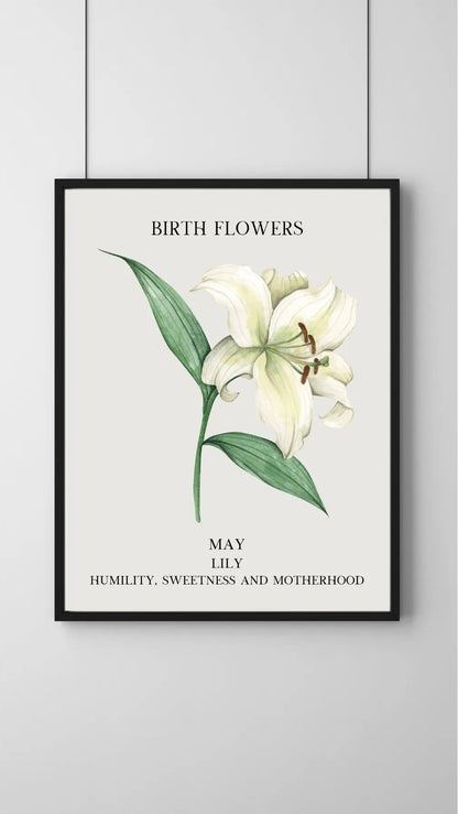 SÜMER Art Decoration Mayıs ayı doğum çiçeği Lily (Zambak) temalı sanatsal suluboya posteri ana görseli