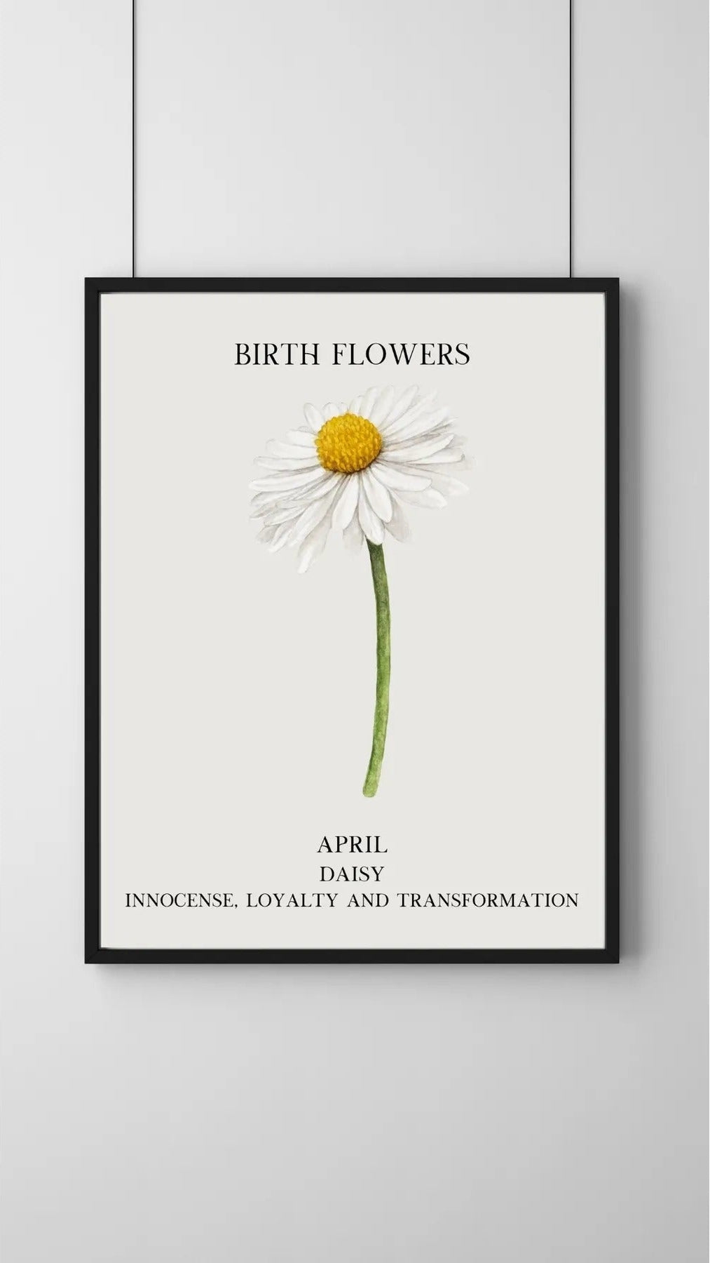 SÜMER Art Decoration Nisan ayı doğum çiçeği Daisy (Papatya) temalı sanatsal suluboya posteri ana görseli