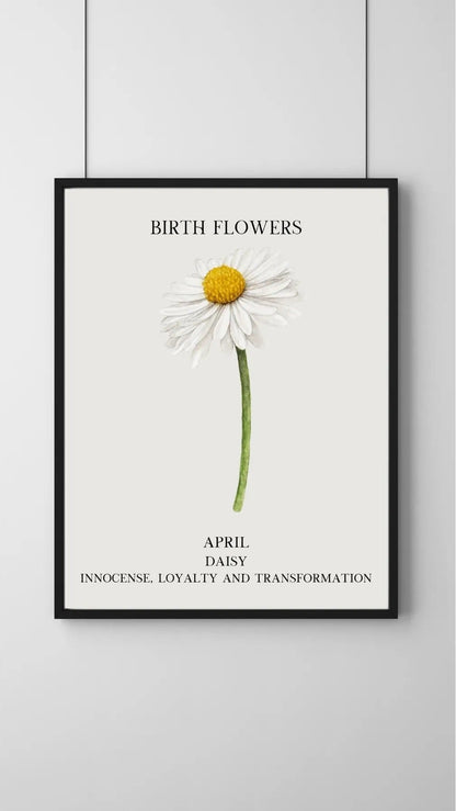 SÜMER Art Decoration Nisan ayı doğum çiçeği Daisy (Papatya) temalı sanatsal suluboya posteri ana görseli