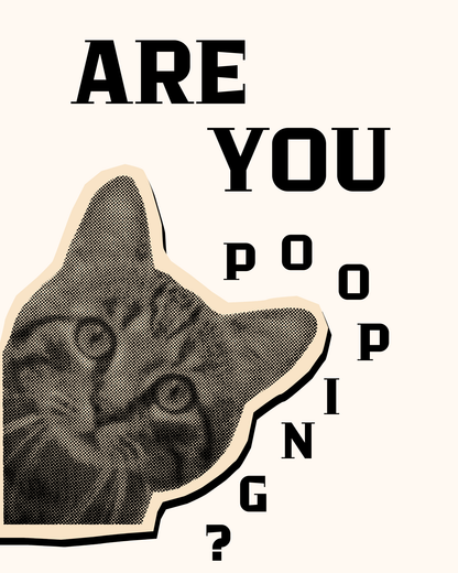 "Are You Pooping?" tablosu için sunulan ahşap, siyah ve beyaz çerçeve renklerinin karşılaştırmalı görünümü.